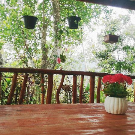 Deneth Homestay Ella Exterior photo