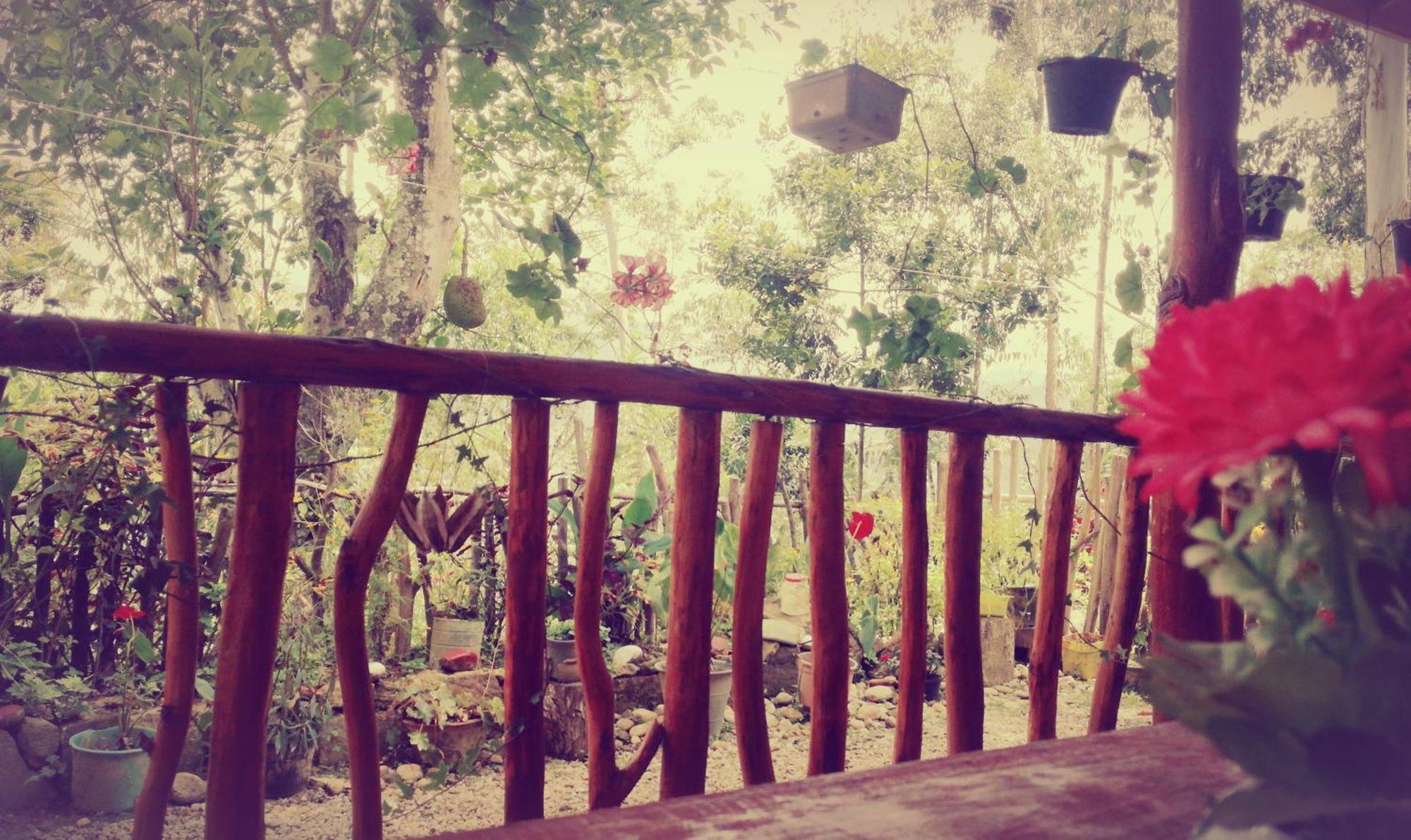 Deneth Homestay Ella Exterior photo